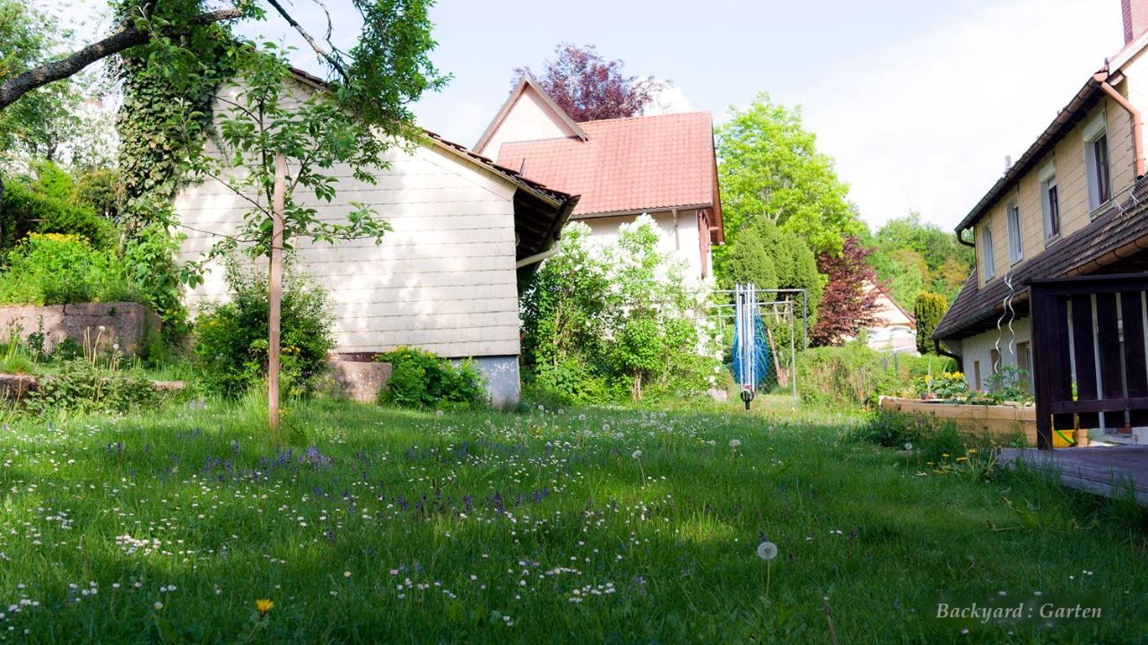 Entire House In Schwarzwald With Mountain View, Private Sauna, Gym, Garden And Terraces Unterkirnach Exterior foto